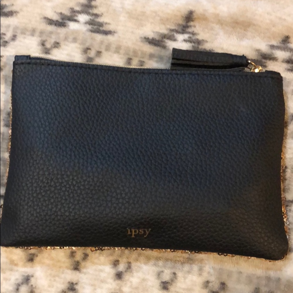 Ipsy cosmetics bag + Pretty vulgar liquid lipstick